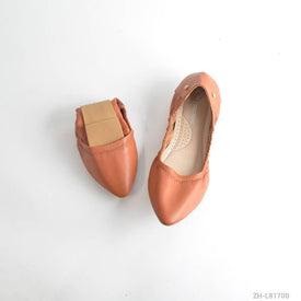 Woman Shoes ZH-L81700