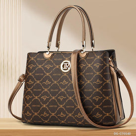 Woman Fashion Bag DG-C70540