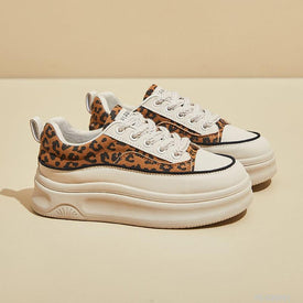 Woman Fashion Shoes FS-C25551