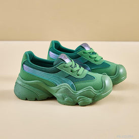 Woman Fashion Shoes FS-C21294