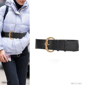 Woman Fashion Belt WB-C11481